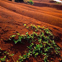 《星际战甲》资料片“双衍悖论”27分钟实机演示赏